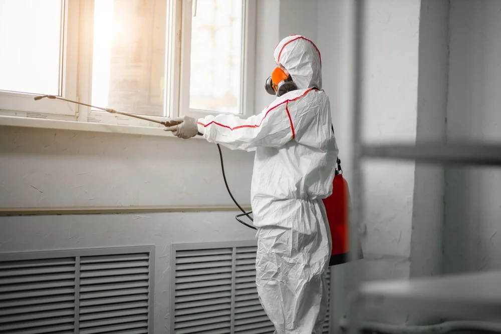 Professional mold remediation services in Pataskala, OH